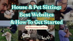 house and pet sitting best websites and how to get started and discount codes wild lovely world